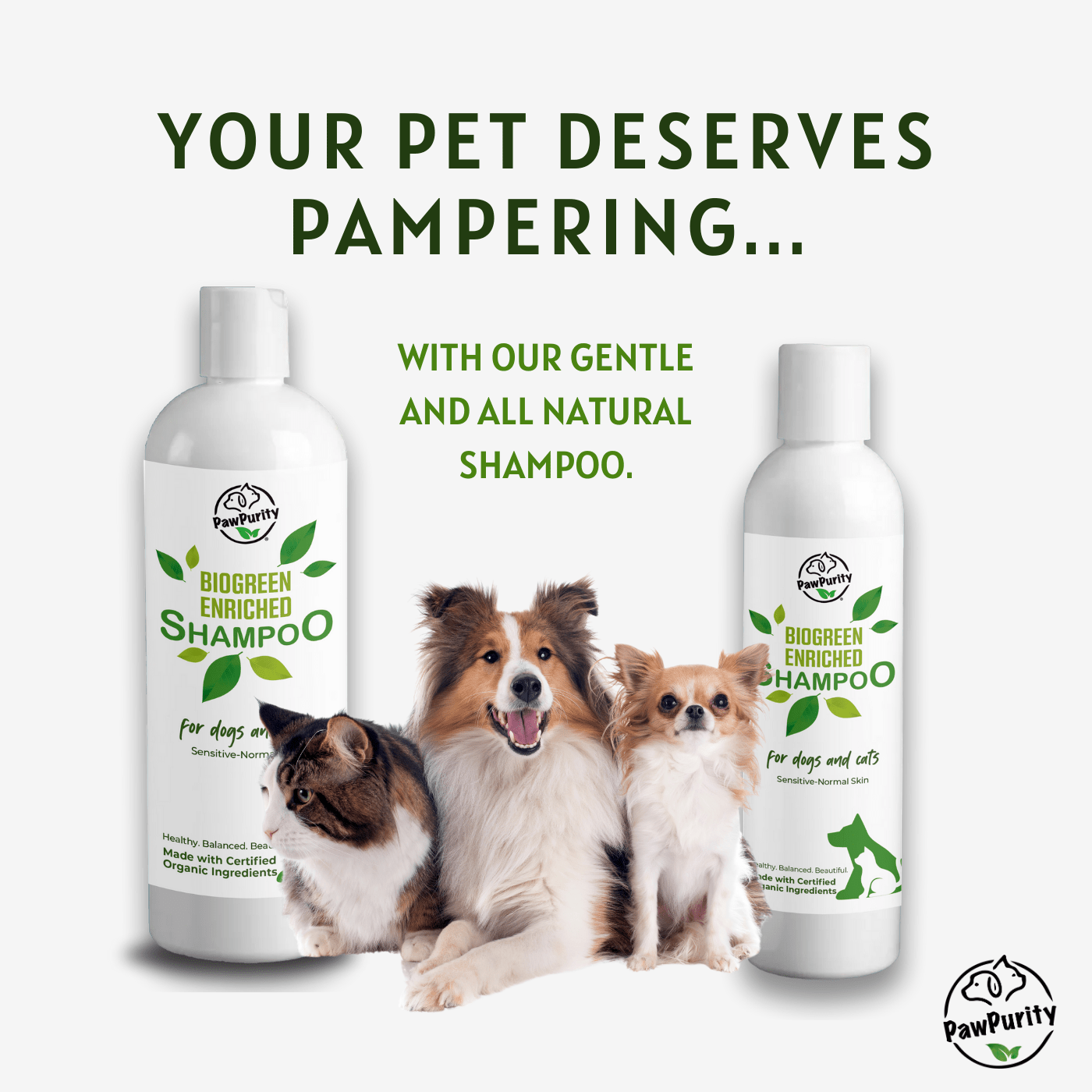 Biogreen Enriched Formula for Hot Spots & Allergies: Natural Cat Shampoo for Itchy Sensitive Skin PawPurity