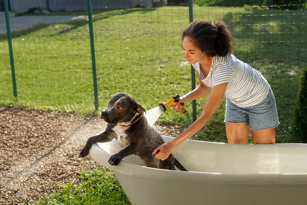 Woman giving her dog a bath with PawPurity's natural shampoo for dogs
