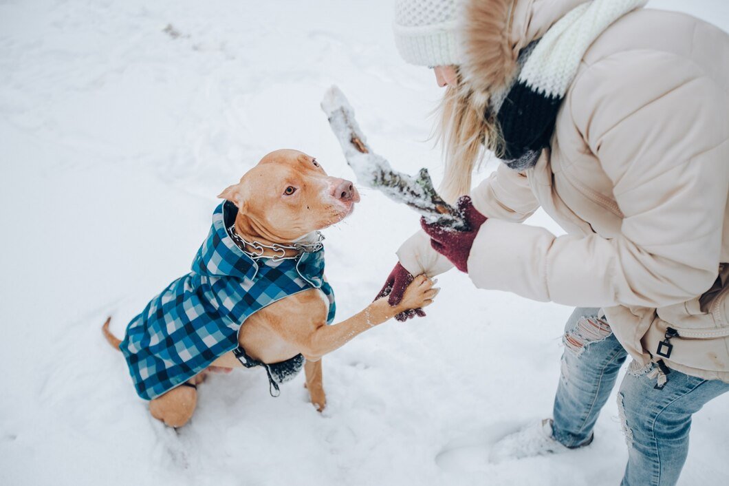 How to Keep Your Dog Clean in Winter