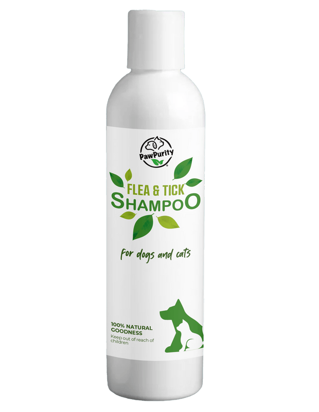 Image showcasing Natural Flea and Tick Dog Shampoo | PawPurity – PawPurity