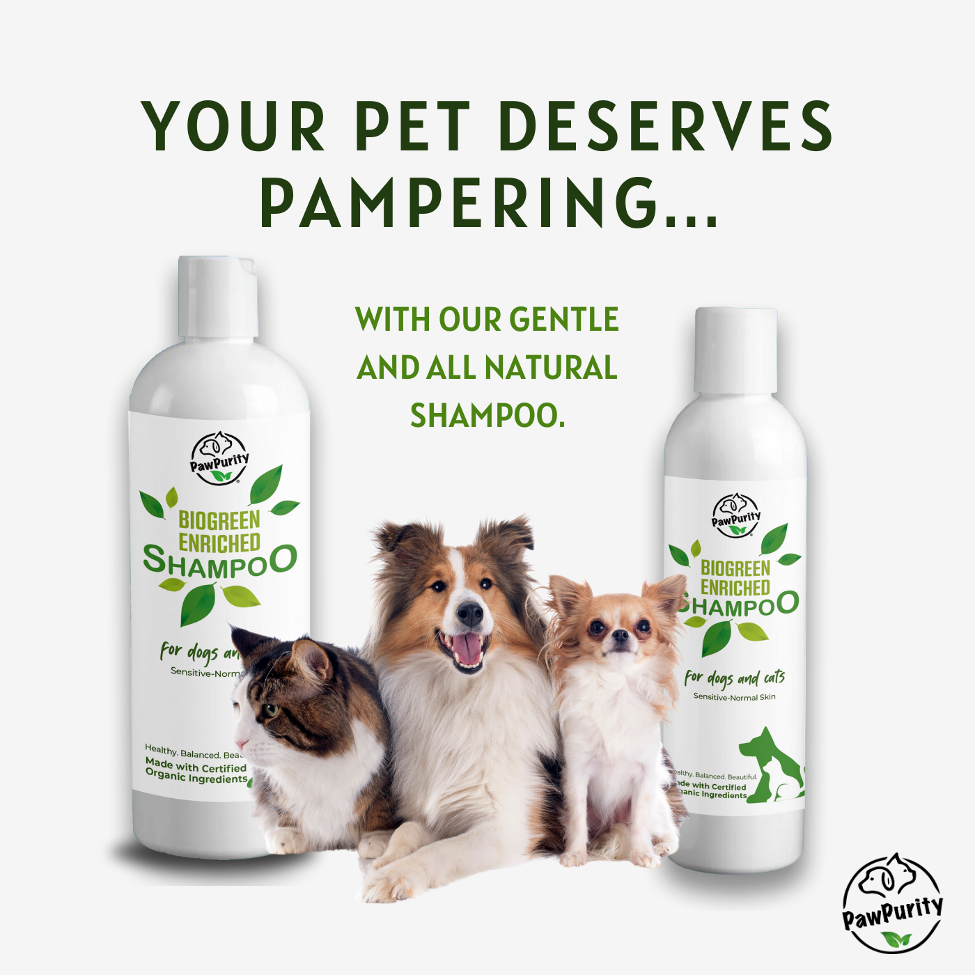 Biogreen Enriched Shampoo For Dogs & Cats