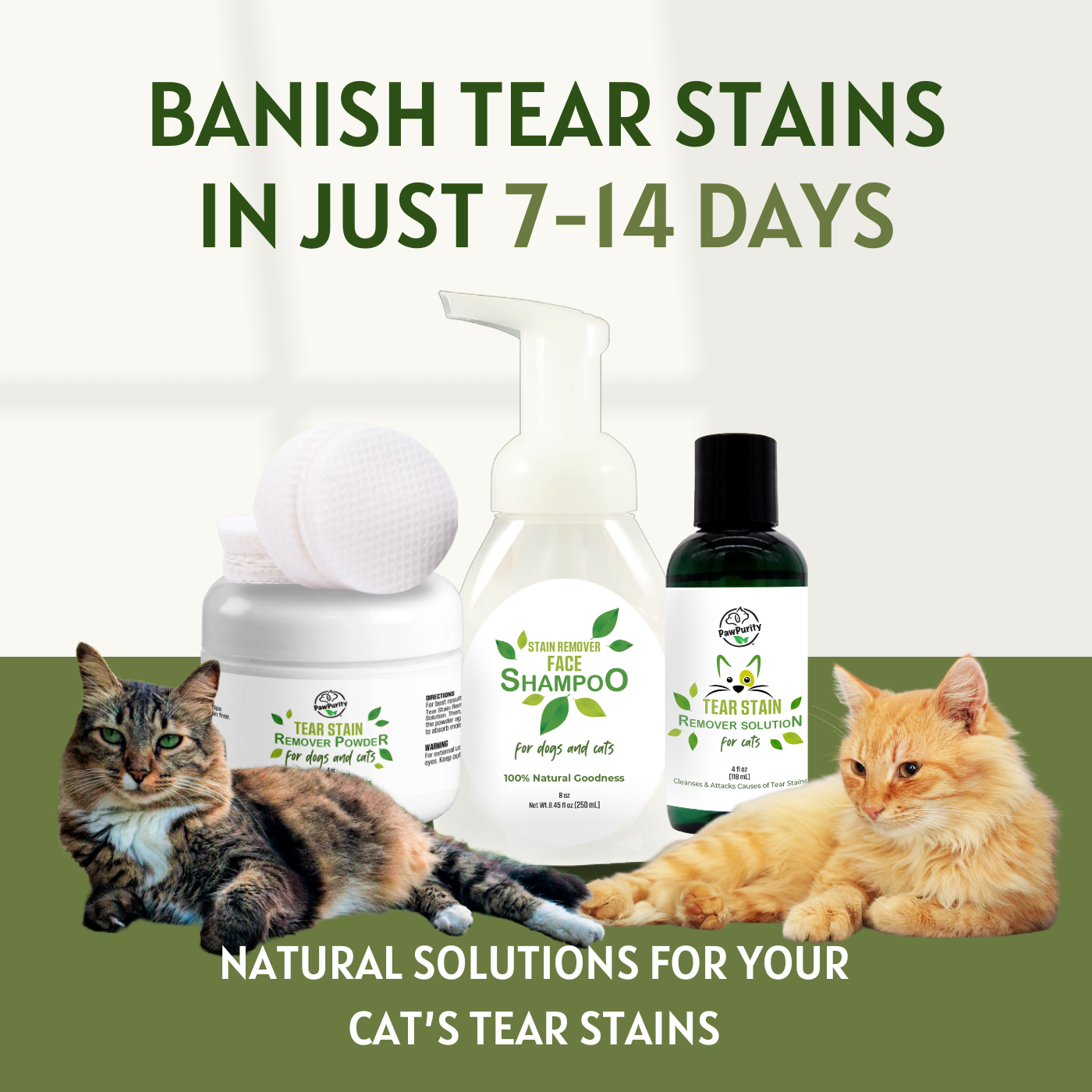 Tear Stain Remover Complete Care Kit for Cats