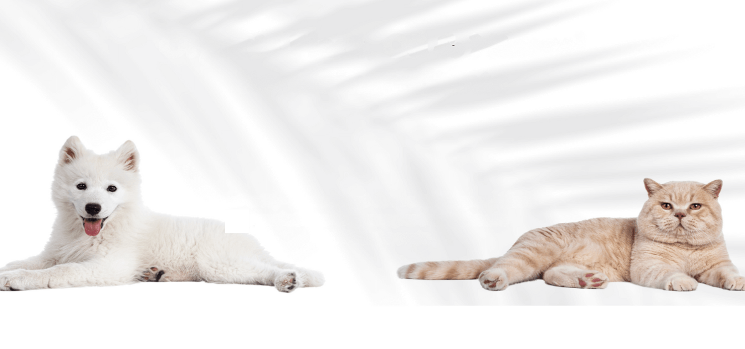 PawPurity 