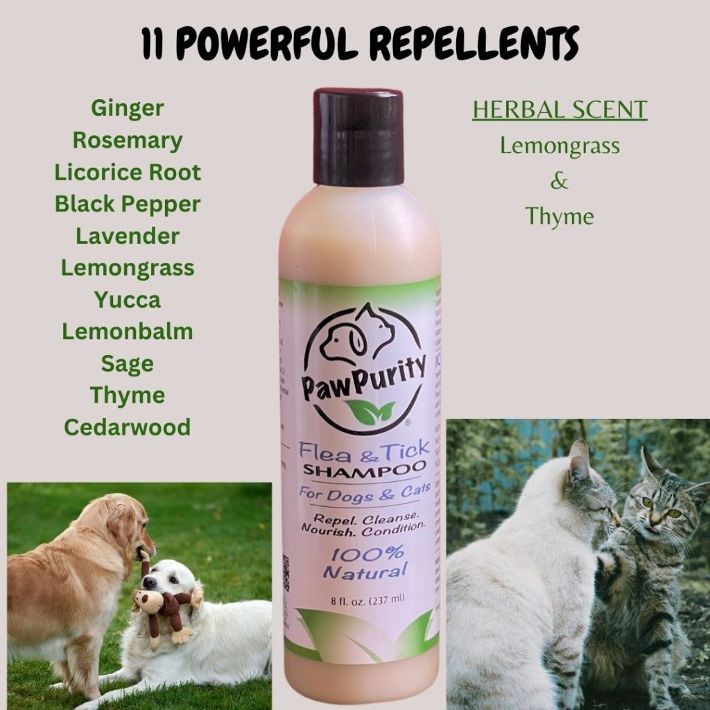 Image of PawPurity's Flea & Tick Shampoo listing all the ingredients including ginger, rosemary, lavender, lemongrass, thyme and yucca.
