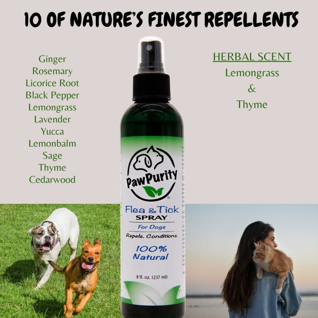 PawPurity Flea & Tick Spray with a list of ingredients including ginger, lemon balm, rosemary, thyme, lemongrass