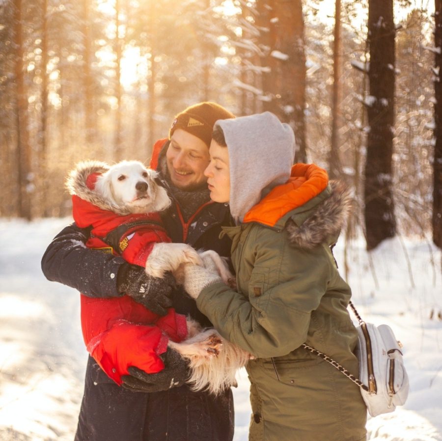 How to keep your dog clean in winter?