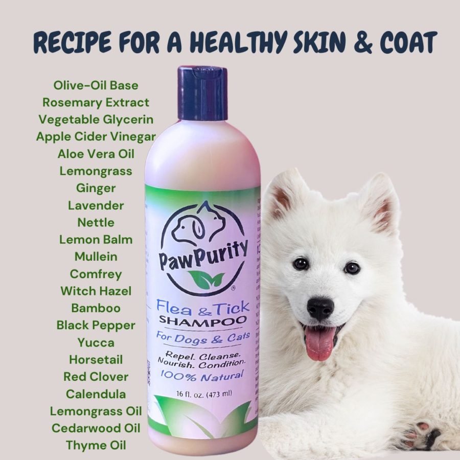 A dog with a bottle of PawPurity Flea & Tick Shampoo. Next to them is an entire list of the natural ingredients including chamomile, ginger, lavendar, olive oil, lemongrass, apple cider vinegar, rosemary extract, witch hazel, comfrey, mullein, cedarwood, thyme