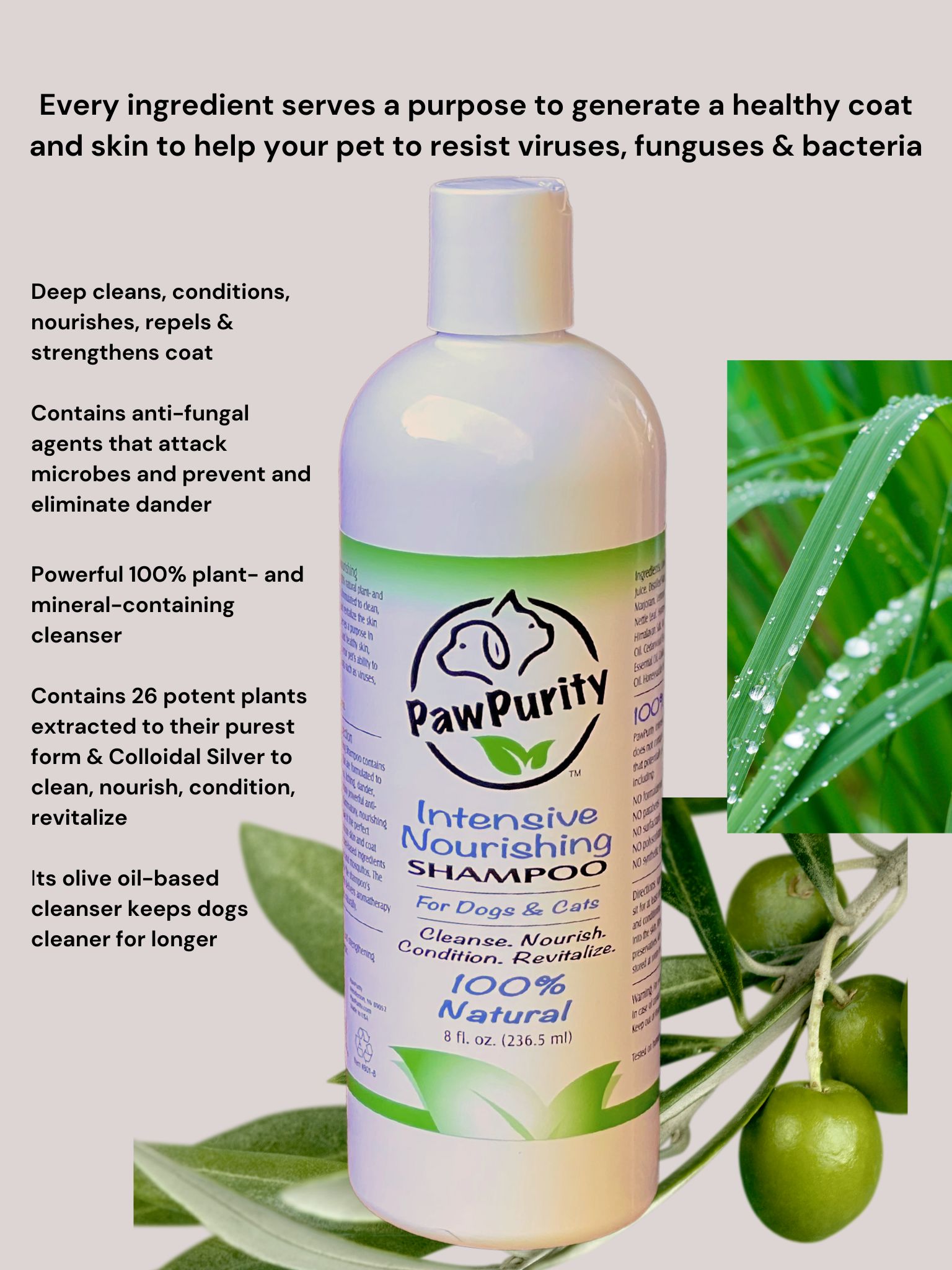 Ingredients and benefits of PawPurity Intensive Nourishing Shampoo for Dogs & Cats with sensitive skin