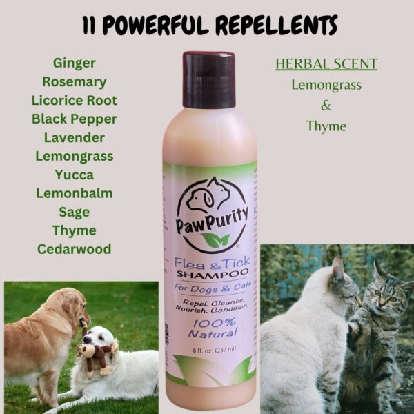 Image of PawPurity Flea & Tick Shampoo indicating the 11 natural powerful repellents including ginger, rosemary, black pepper, licorice root, lavender, yucca, lemonbalm, sage, thyme and cedarwood