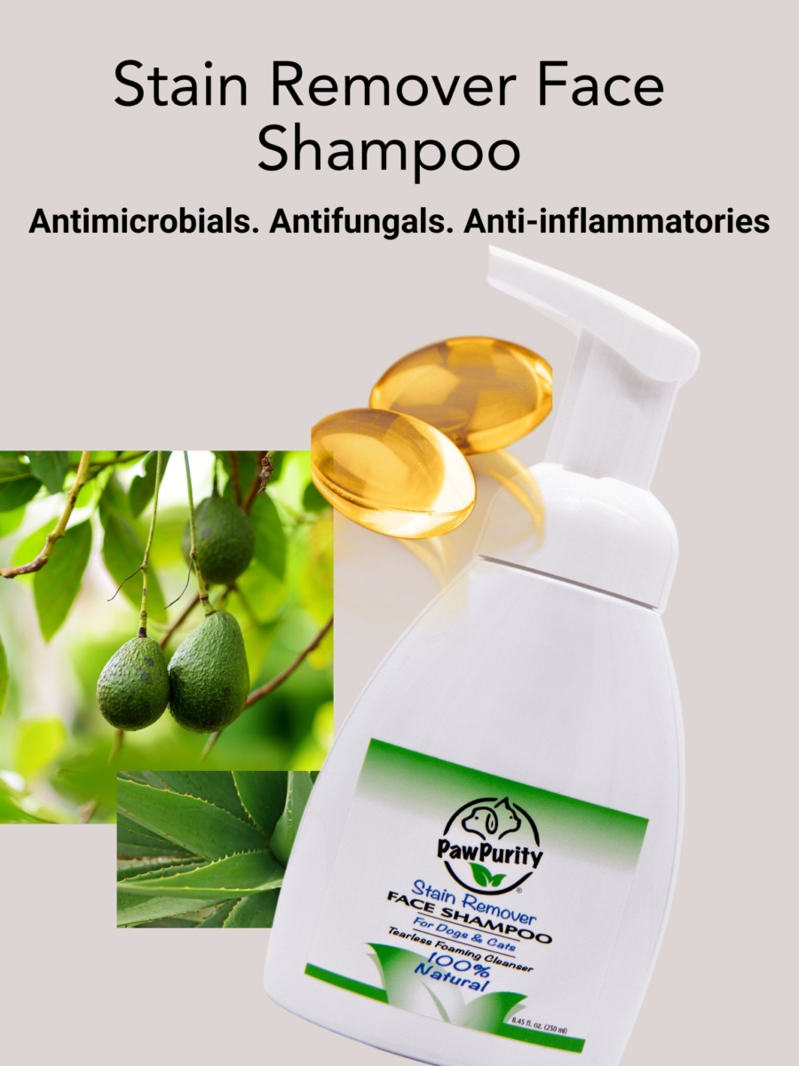Image of PawPurity Face Stain Shampoo telling how it has antimicrobials, antifungals, and anti-inflammatories