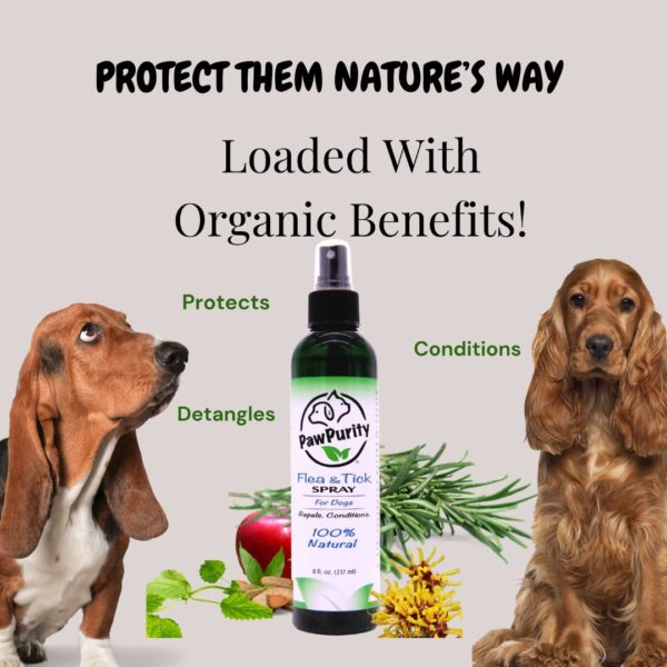 Image of Organic Flea Spray by Pawpurity. It protects, conditions and detangles