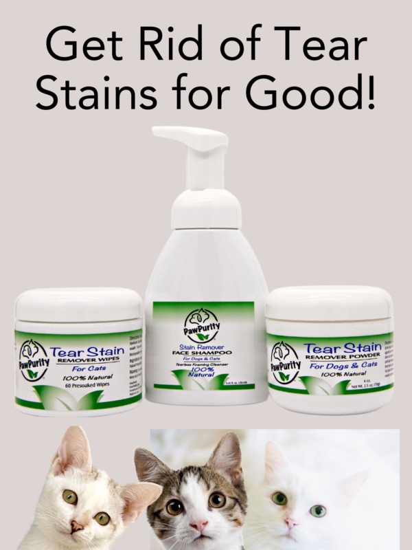 Image of PawPurity's Face Stain Shampoo, Tear Stain Wipes and Tear Stain Powder with 3 cute cats at the bottom