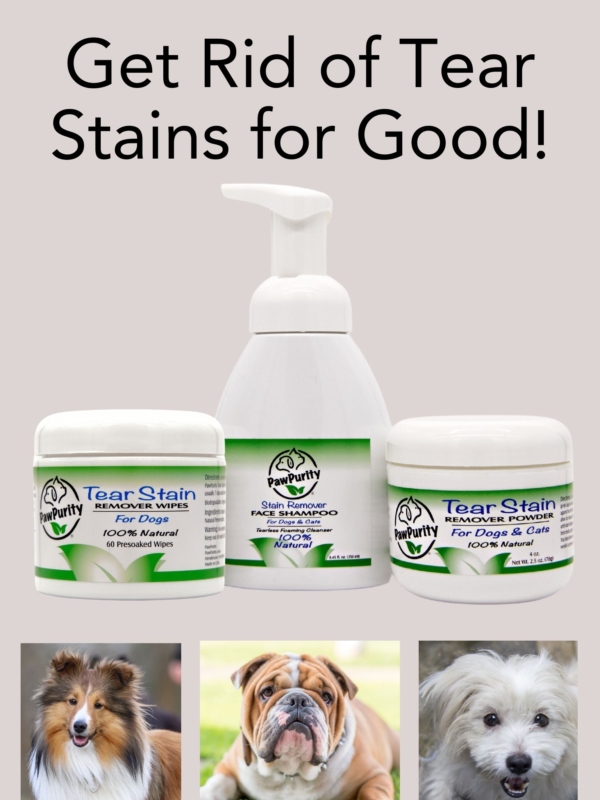 Image of three PawPurity products that when used as a kit get rid of tear stains on dogs. The kit includes Tear Stain Wipes, Stain Face Shampoo and Tear Stain Powder.