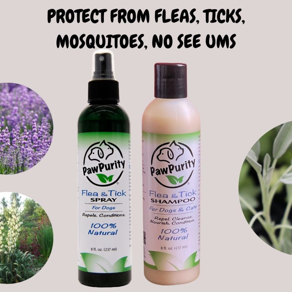 Image of PawPurity Flea & Tick Shampoo and Spray Kit indicated some of the natural ingredients like lavender, rosemary and yucca
