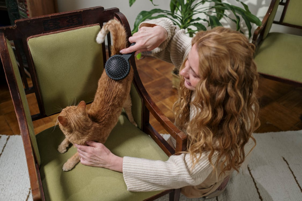 woman brushing cat
