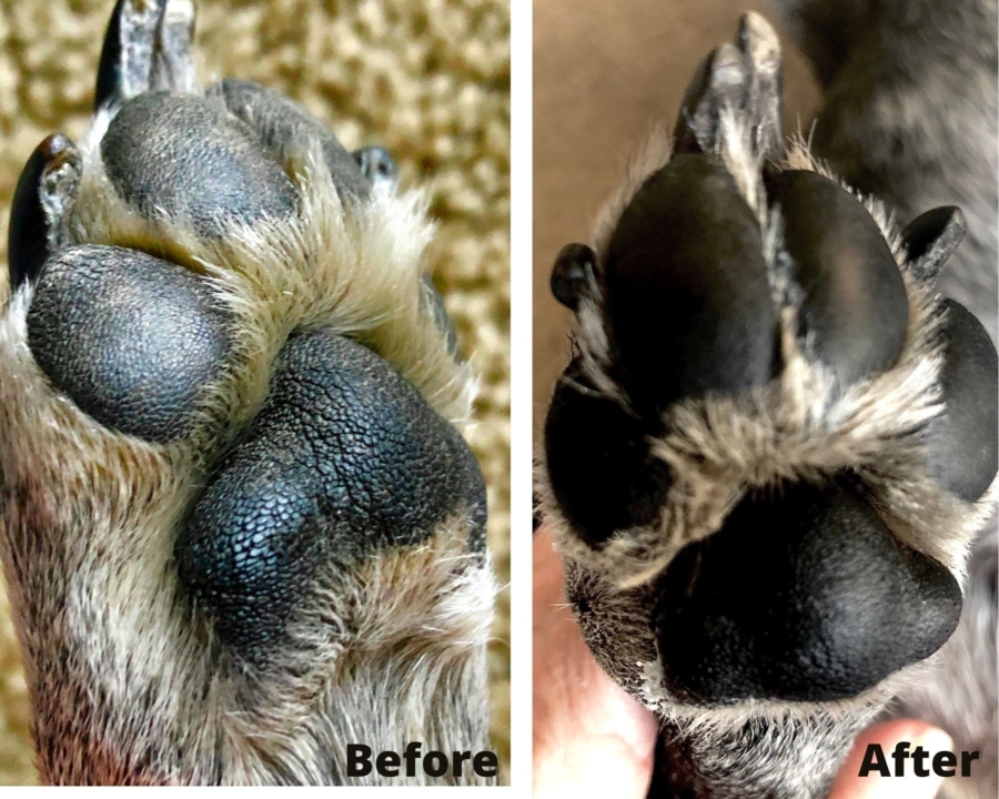 Before and after PawPurity Healing Paw Conditioner