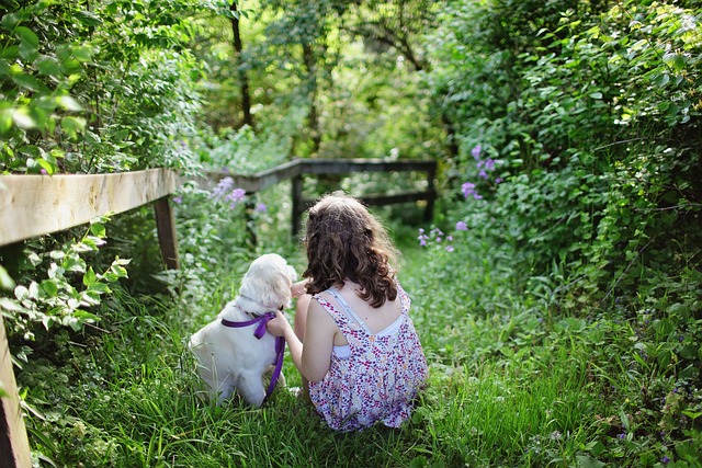 Little girl sits with her dog included in a blog about tick prevention