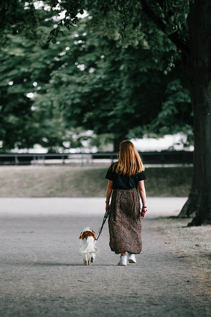Woman walking dog without dog shoes during summer heat