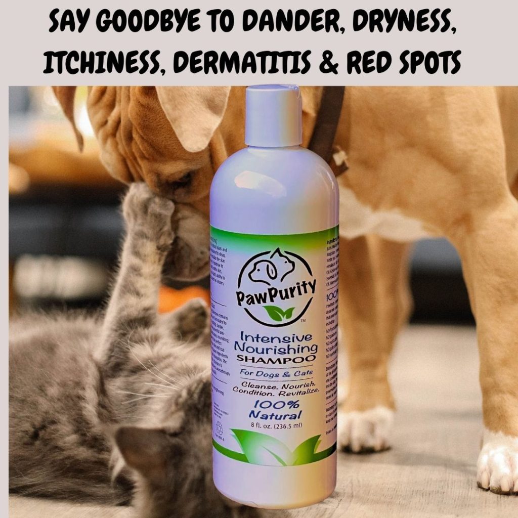 Bottle of PawPurity Intensive Nourishing Shampoo with a dog and a cat