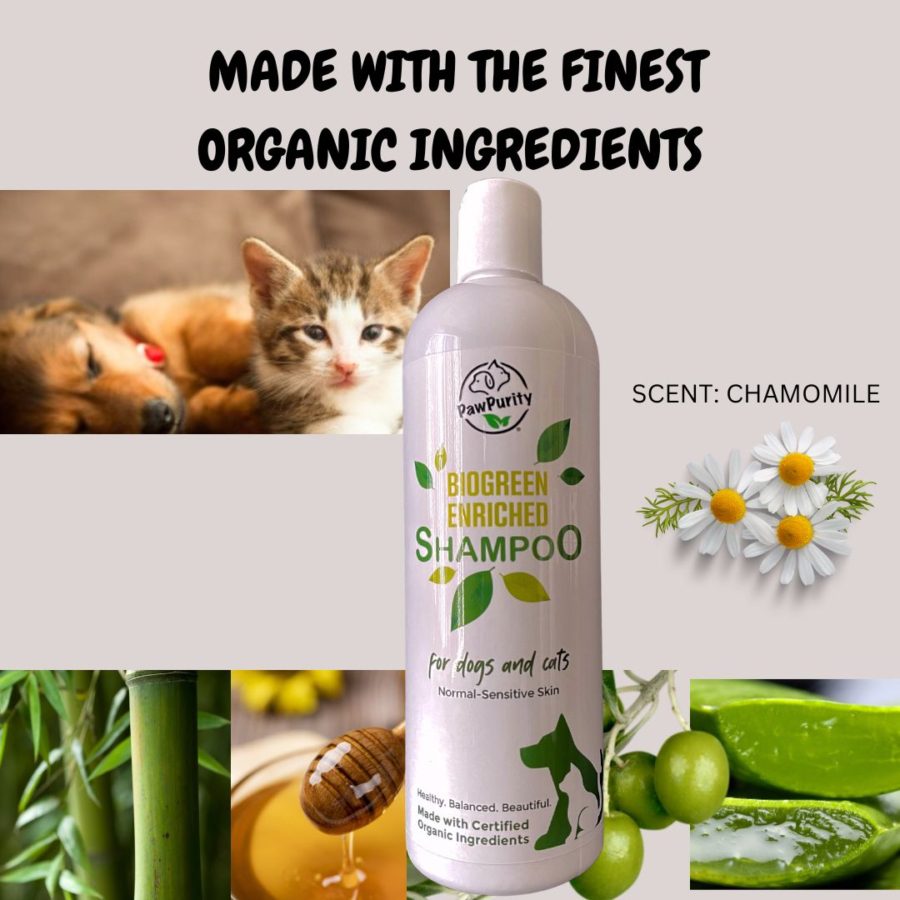 Image of a cat and dog sitting next to Biogreen Shampoo by PawPurity