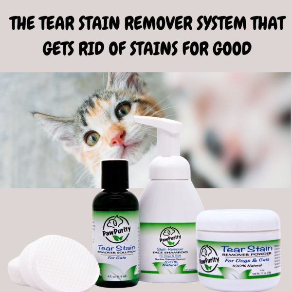 Image of a kitten and PawPurity's three-step tear stain remover system to get rid of stains permanently