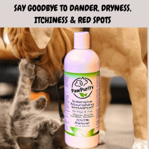 PawPurity Intensive Nourishing Shampoo with a dog and cat playing